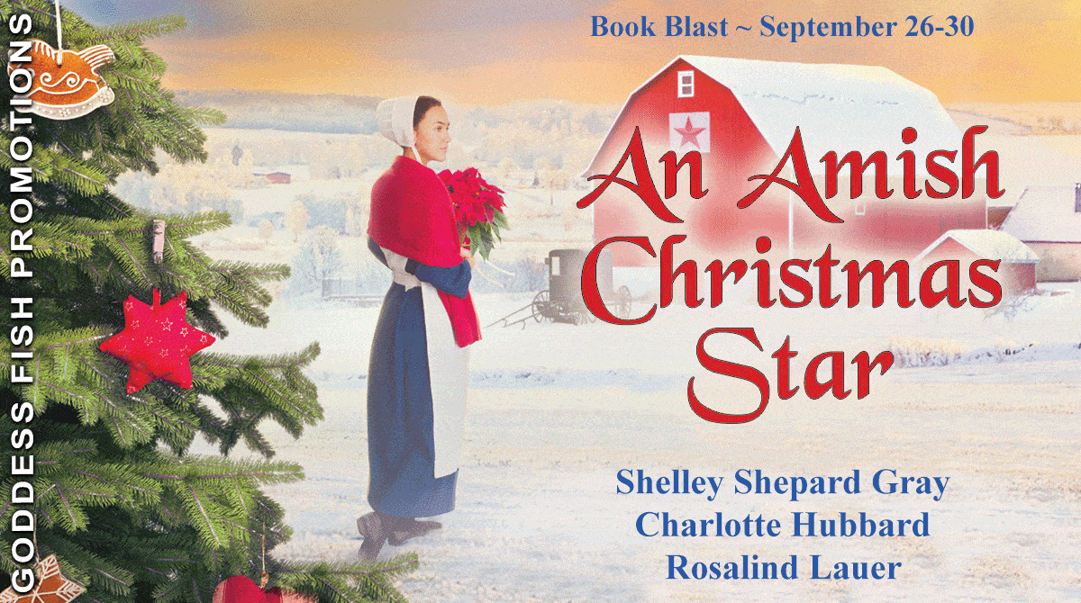 An Amish Christmas Star by Charlotte Hubbard etal | Excerpt Tour and $15 Giveaway | Sweet Romance