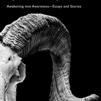 Again. Again and Again: Awakening into Awareness--Essays and Stories by Mathias B. Freese | Book Review