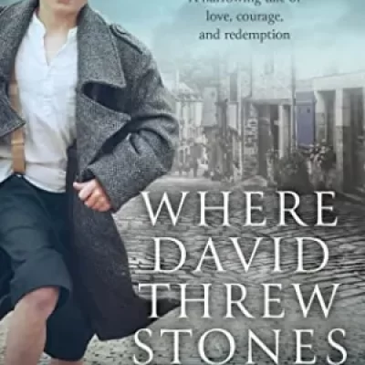 Where David Threw Stones by Elyse Hoffman | Spotlight Tour | #HistoricalFiction #WW2 @WriteReadsTours