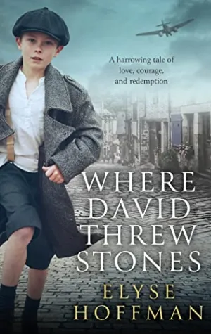 Where David threw stones cover image