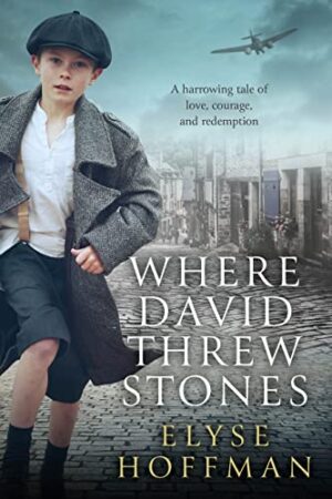 Where David Threw Stones by Elyse Hoffman | Spotlight Tour | #HistoricalFiction #WW2 @WriteReadsTours