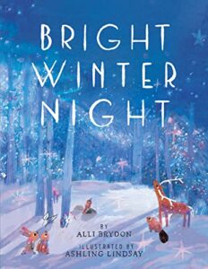 Bright Winter Night by Alli Brydon book cover image