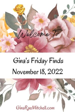 The November 18, 2022 Friday Finds are here with a new Author of the Week, Giftable Book Recs, Recipes, & More Happy News