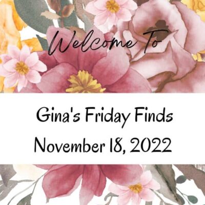 The November 18, 2022 Friday Finds are here with a new Author of the Week, Giftable Book Recs, Recipes, & More Happy News