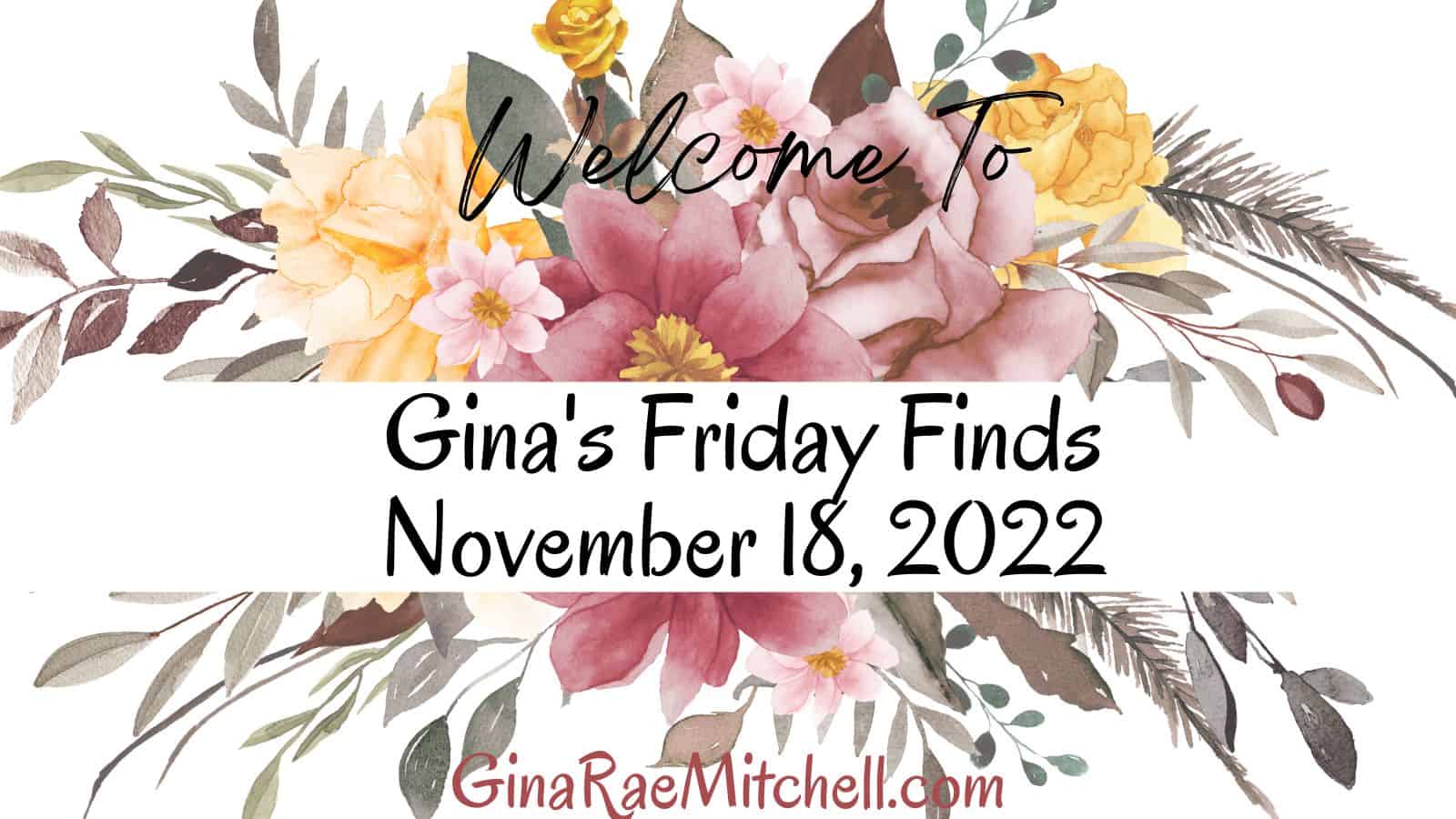The November 18, 2022 Friday Finds are here with a new Author of the Week, Giftable Book Recs, Recipes, & More Happy News
