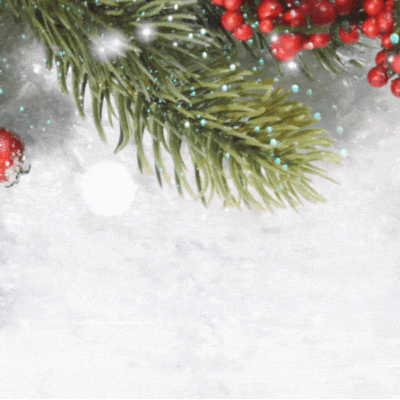 HAPPY HOLIDAYS 2022!