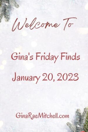 The January 20th-2023 Friday Finds are here with a new Author of the Week, Winter Comfort Food, Book Deals, Indie Author News, Craftiness, and a Blog Roundup.