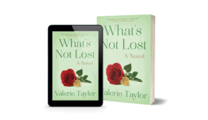 What’s not lost 2 book image