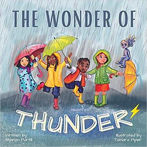 The Wonder of Thunder by Sharon Purtill