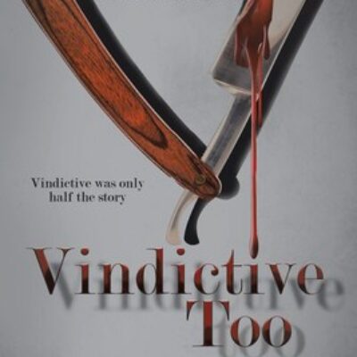 Vindictive Too by Ryan Lawrence | Spotlight ~ Excerpt ~ $10 Giveaway | Thriller ~ LGBTQ
