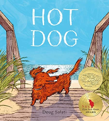 Hot Dog book cover image