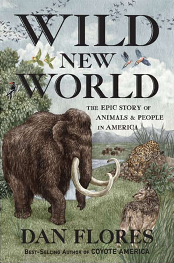 Wild New World book cover image