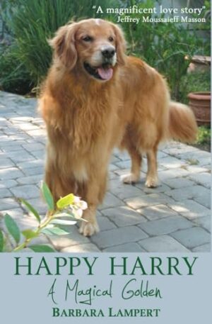 Happy Harry: A Magical Golden by Barbara Lampert | Spotlight ~ $30 Gift Card Available | #DogMemoir