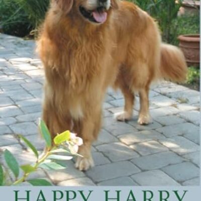 Happy Harry: A Magical Golden by Barbara Lampert | Spotlight ~ $30 Gift Card Available | #DogMemoir