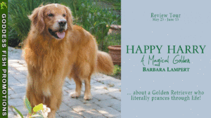 Happy Harry, A Magical Golden by Barbara Lampert – A Dog Memoir (Barbara’s Dog Stories #2) | Book Review ~ Excerpt ~ $40 Gift Card | @GoddessFish @barbaralampertauthor