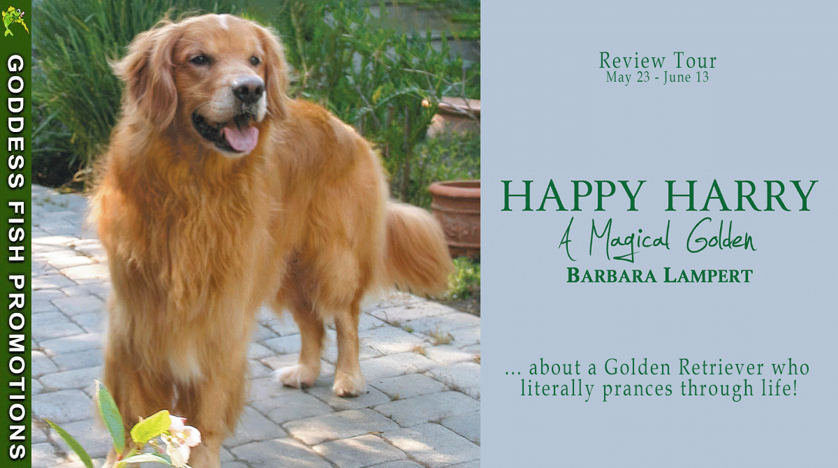 Happy Harry, A Magical Golden by Barbara Lampert - A Dog Memoir (Barbara's Dog Stories #2) | Book Review ~ Excerpt ~ $40 Gift Card | @GoddessFish @barbaralampertauthor