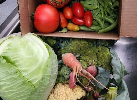 Garden Veggies 07-19-2024