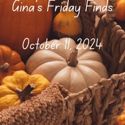 Weekly Friday Finds | 10-11-2024 | Recommendations and Reviews | #Books #Bloggers #Food #Crafts #Fun