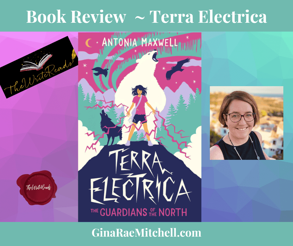 Terra Electrica Banner