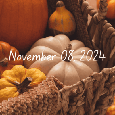 Weekly Friday Finds | 11-08-2024 | Books ~ Crafts ~ Holiday Recipes ~ Indie Authors ~ Trivia Contest