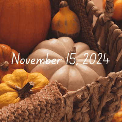 Fast and Fun Friday Finds | 11-15-2024 | Books ~ Crafts ~ Holiday Recipes ~ Indie Authors ~ Trivia Contest