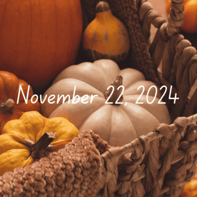 Fast and Fun Friday Finds | 11-22-2024 | Books ~ Crafts ~ Holiday Recipes ~ Indie Authors ~ Contest