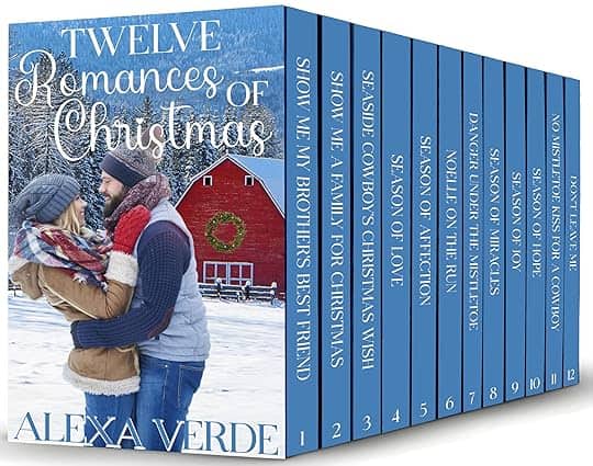 Fun Friday Finds | 12-13-2024 | Books, Crafts, Holiday Recipes, Indie Authors, & More! 23 12 Romances of Christmas by Alexa Verde book set image FF 12-13-2024