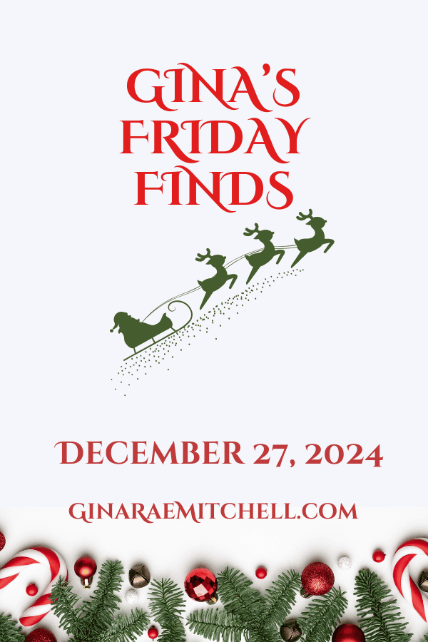 December 27, 2024 Friday Finds PIN grm