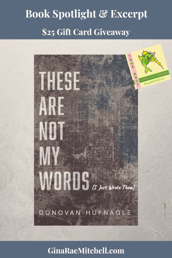 Fun Friday Finds | 12-06-2024 | Books, Crafts, Holiday Recipes, Indie Authors, & More! 7 These Are Not My Words PIN Book Cover with beige background