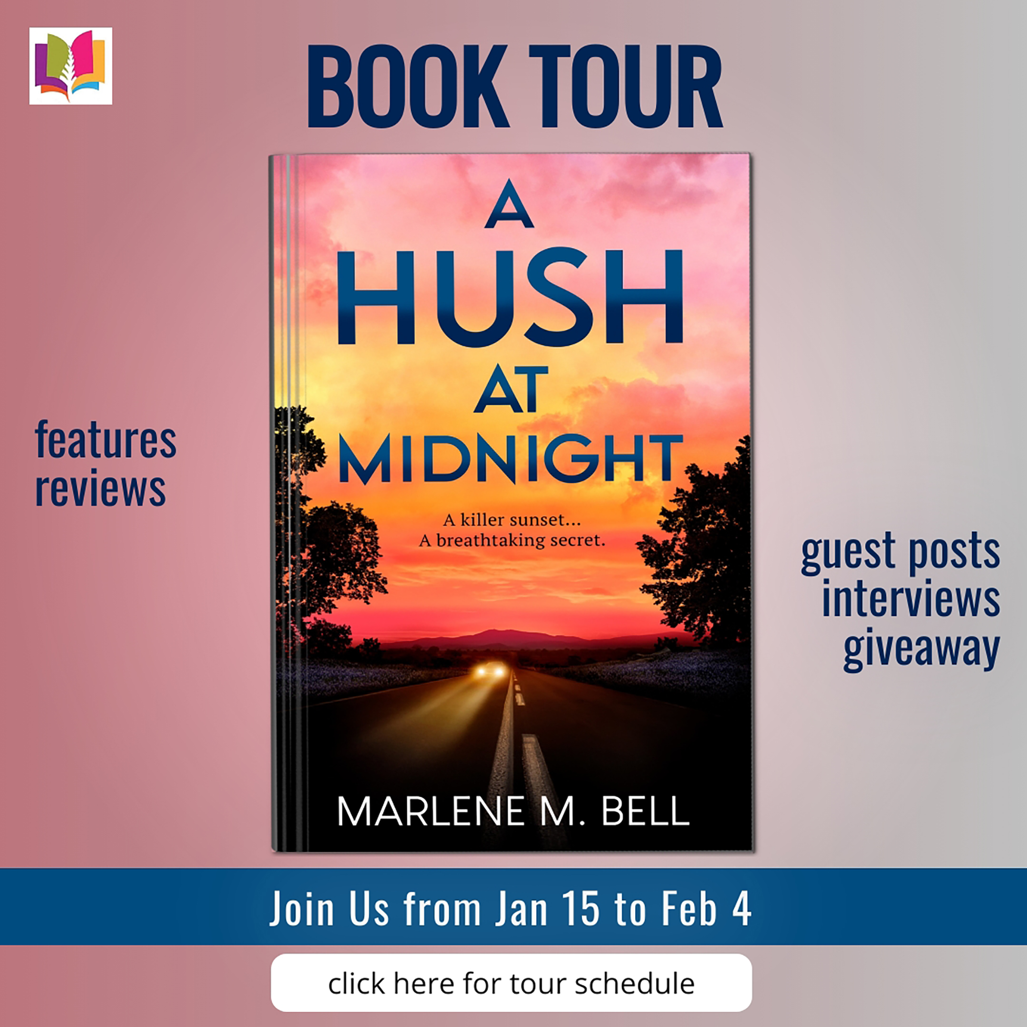 A Hush at Midnight by Marlene M. Bell ~ $200 Prize Pack #BookReview #Mystery @ireadBookTours @MarleneMysteries #Bookstagram #BookTok #BookSky