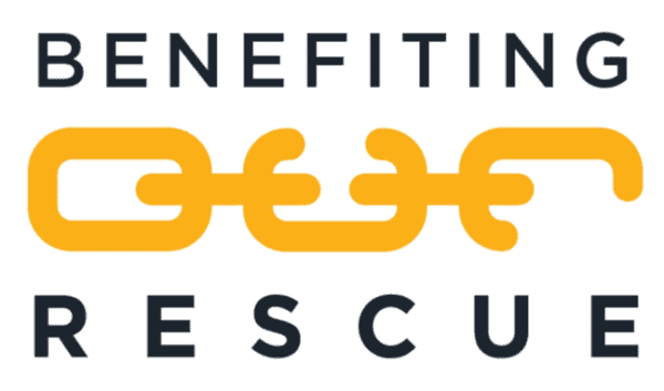 OUR rescue logo featured in The Girl of Many Crowns review