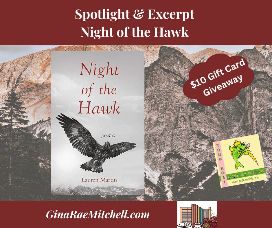 Night of the Hawk Banner 02-07-2025 FF