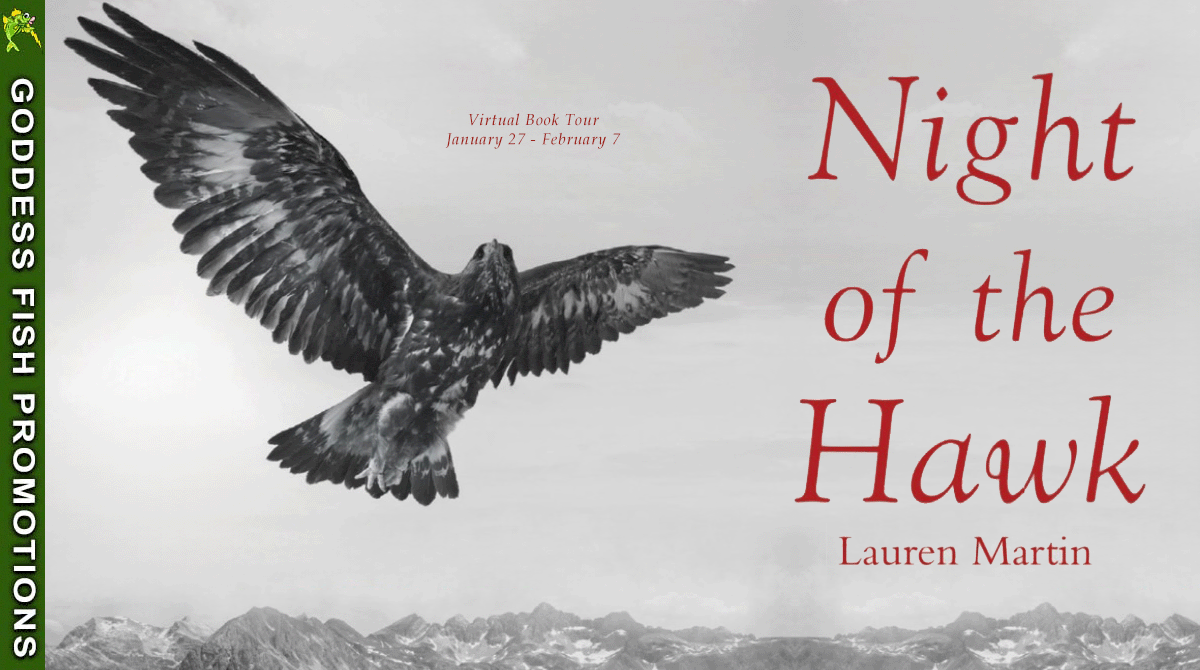 Night of the Hawk by Lauren Martin ~ $10 Gift Card Available #Spotlight #Poetry #Ìyânífá #SheWritesPress @GoddessFish @GoddessFishPromotions