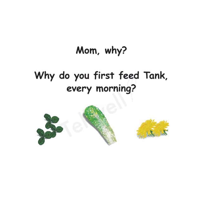 Why Mom, Why? by Parimalasri Docktor ~ Children's Book Review, Excerpt, $10 Gift Card ~ #PictureBook @GoddessFish @TellwellTalent 6 Why Mom, Why Excerpt