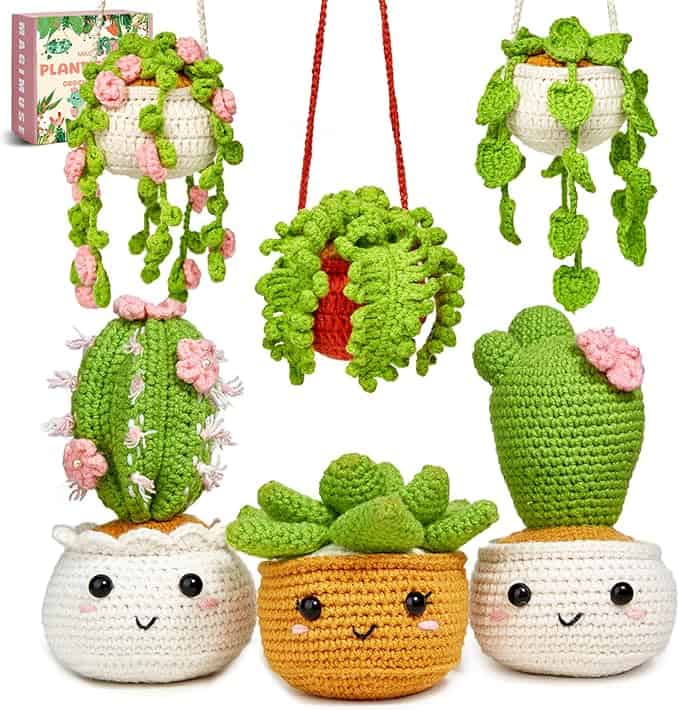 Crochet Catcus Kit AmAff FF 04-11-2025