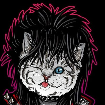 Dacy Alex author image kitten