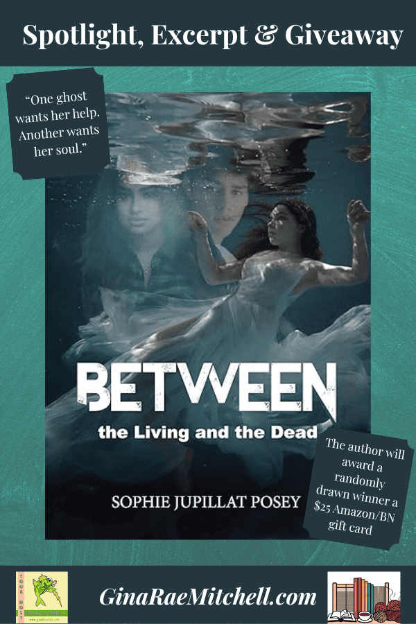 Promotional graphic for GinaRaeMitchell.com with book cover, book quote, & giveaway banner