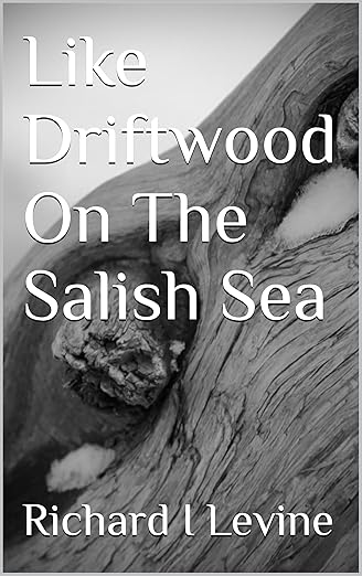 Book cover for Like Driftwood on the Salish Sea by Richard I. Levine: Close-up photo of a piece of driftwood with weathered texture and natural knots. Title text overlays the image in large white serif font, centered across the wood grain.