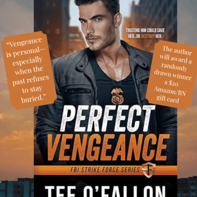 Perfect Vengeance by Tee O’Fallon ~ Romantic Suspense with a Cold Case Twist