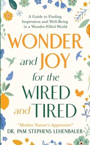 Review: Wonder and Joy by Dr. Pam Stephens Lehenbauer | A Self-Help Guide for the Wired and Tired