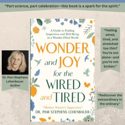 Review: Wonder and Joy by Dr. Pam Stephens Lehenbauer | A Self-Help Guide for the Wired and Tired