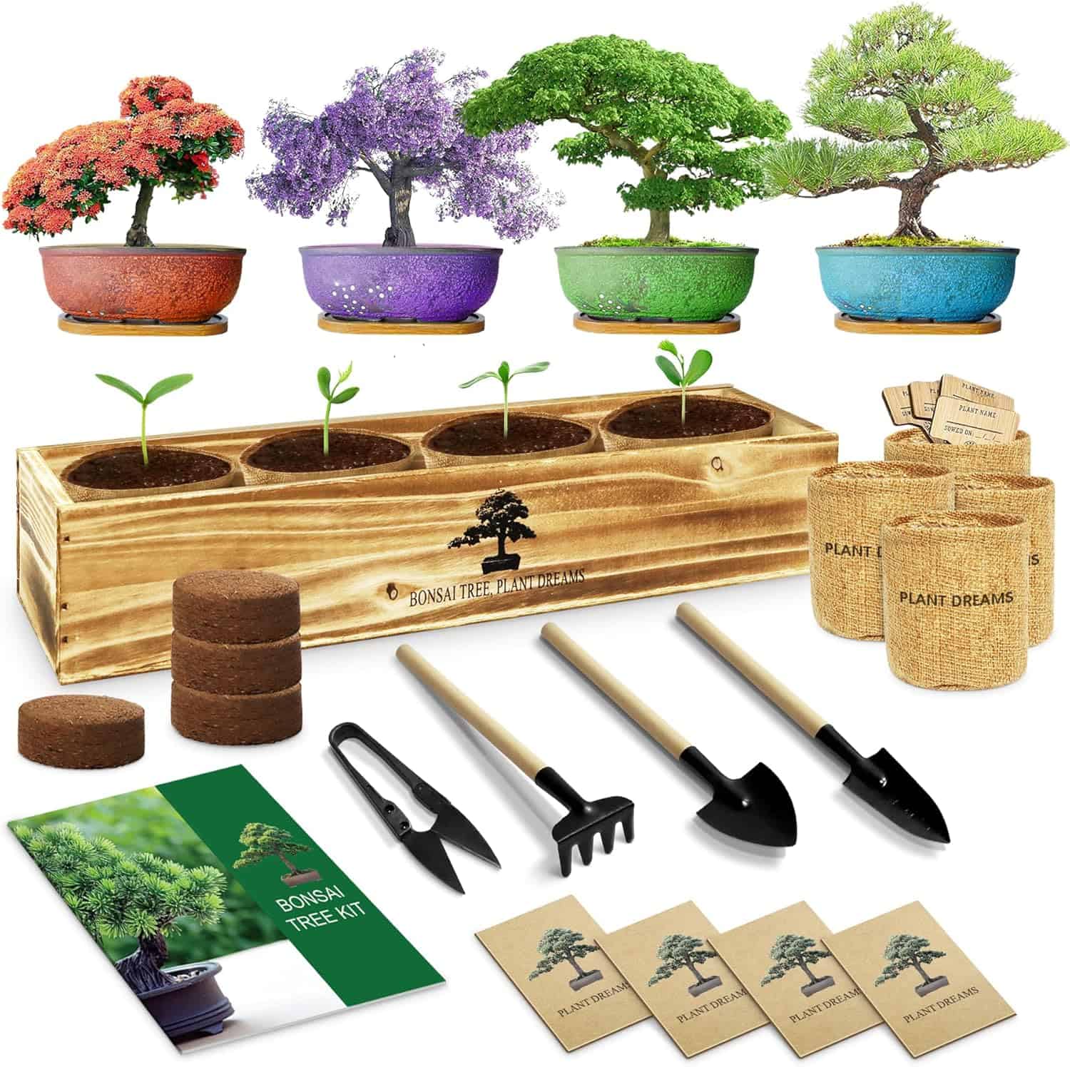 🪶 Friday Finds – 24 October 2025 | Indie Author E. Denise Billups, Bonsai Craft, & Fall Harvest Soup 34 Wooden bonsai tree starter kit with four small planting sections, miniature tools, seed packets, and soil discs displayed in front of colorful bonsai examples in red, purple, green, and blue pots. Text on box reads