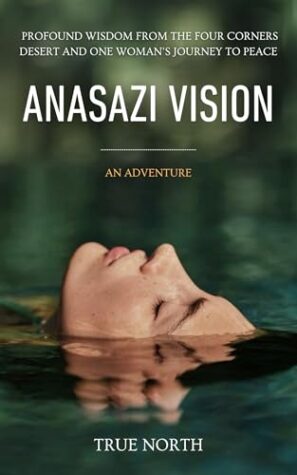 Anasazi Vision by True North | BBNYA 2025 Semi-Finalist Spotlight