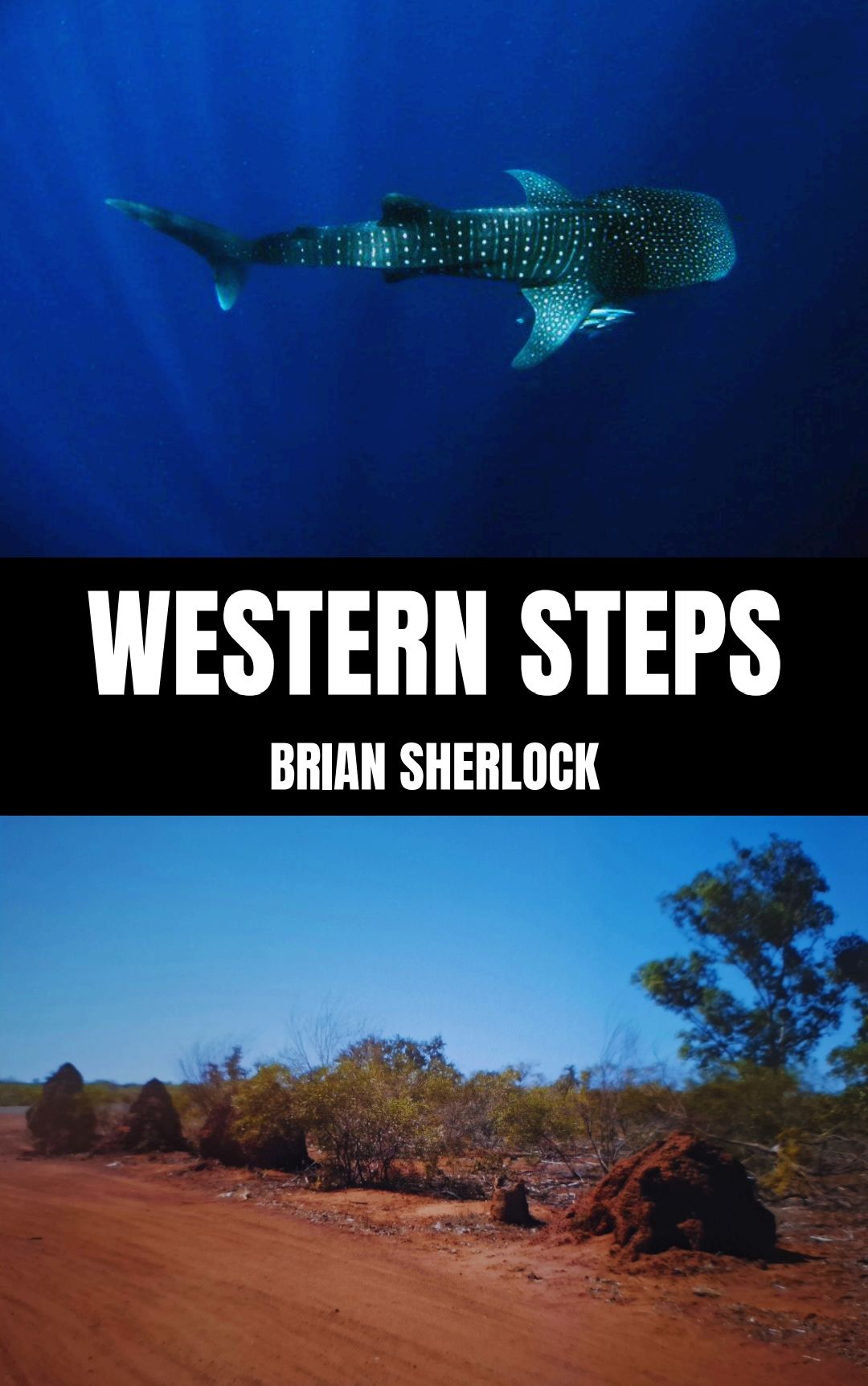 Book cover of Western Steps by Brian Sherlock.