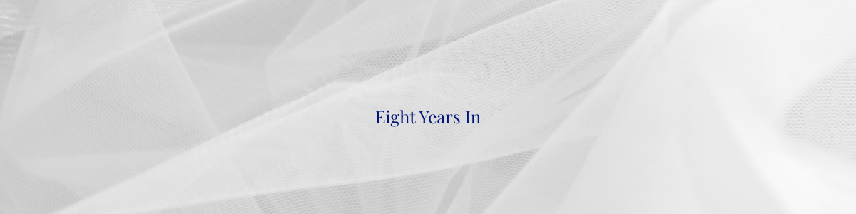 Horizontal divider image displaying the text "Eight Years In" centered on a soft neutral textured background, used to separate sections in the blog’s eight-year anniversary post.