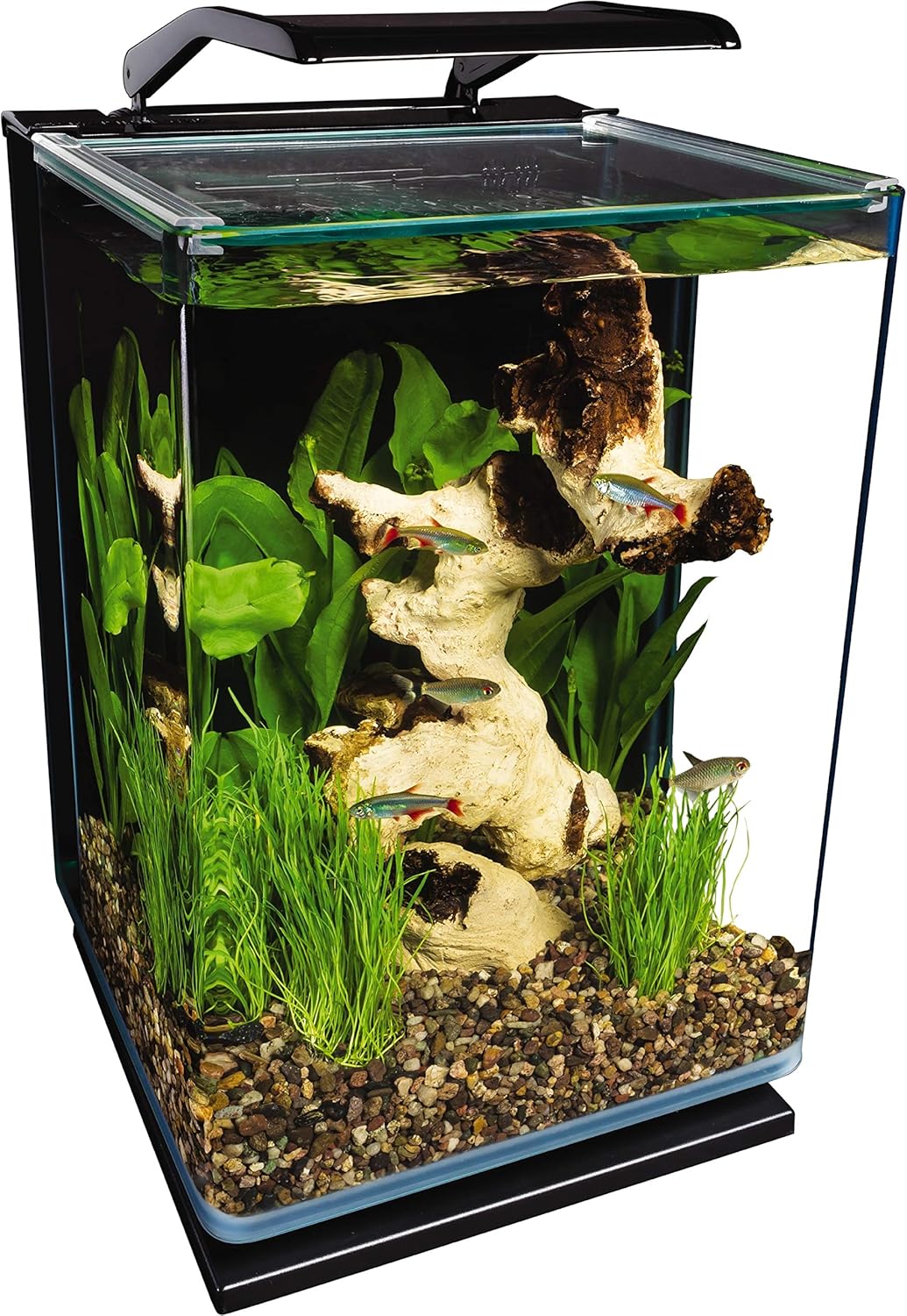 Small LED aquarium with plants, driftwood, and fish creating a calming visual focal point for a peaceful workspace or reading area.