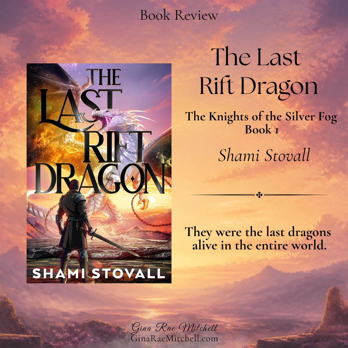 The Last Rift Dragon by Shami Stovall review graphic