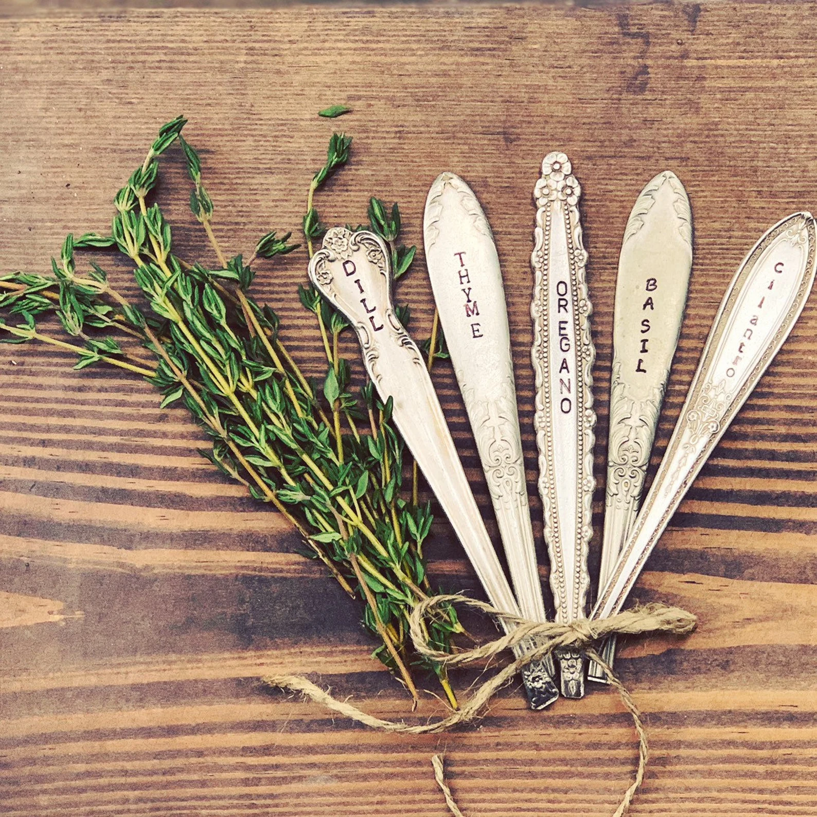 Vintage silverplate spoons and knife handles hand-stamped with herb names and tied together beside fresh thyme.